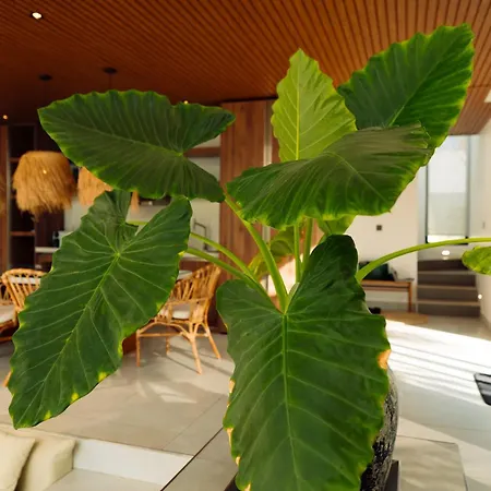 Paje Emerald Escapes Exterior photo